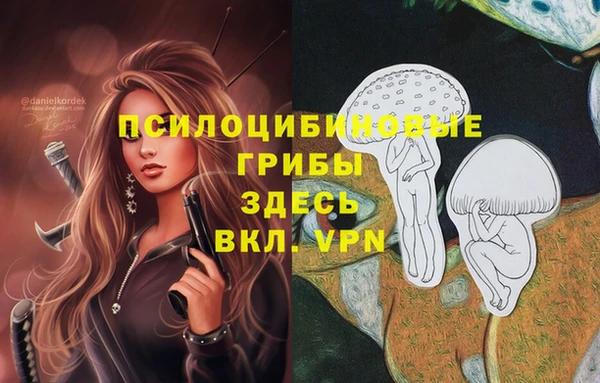спайс Кодинск