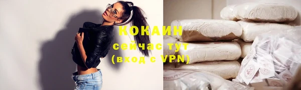 МДПВ Козловка