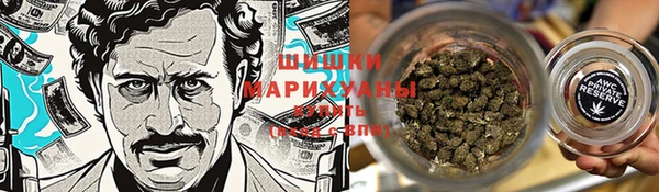 МДПВ Козловка