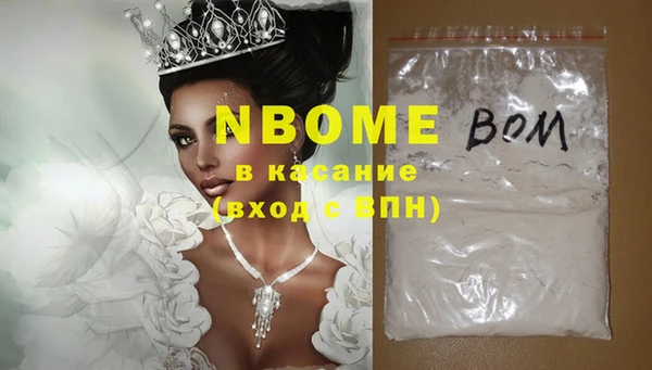 сатива Коряжма